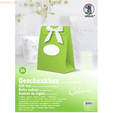 4008525151388 - Geschenkbox Celina 95x125x5cm VE=5 Stück Motiv 34