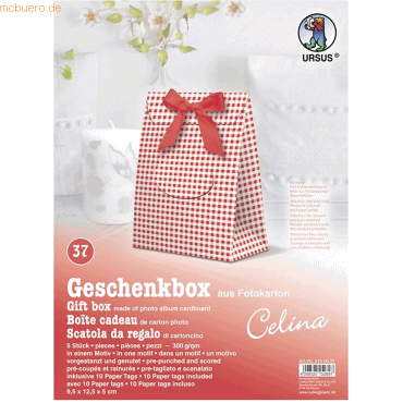 4008525152897 - Geschenkbox Celina 95x125x5cm VE=5 Stück Motiv 37