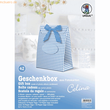 4008525152842 - Geschenkbox Celina 95x125x5cm VE=5 Stück Motiv 42