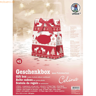 4008525158097 - Geschenkbox Celina 95x125x5cm VE=5 Stück Motiv 45