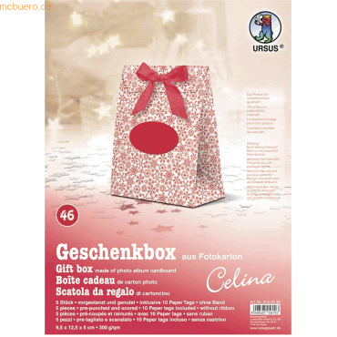 4008525158103 - Geschenkbox Celina 95x125x5cm VE=5 Stück Motiv 46