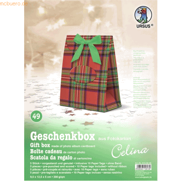 4008525158134 - Geschenkbox Celina 95x125x5cm VE=5 Stück Motiv 49