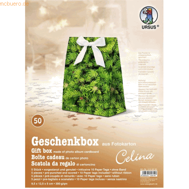 4008525158141 - Geschenkbox Celina 95x125x5cm VE=5 Stück Motiv 50