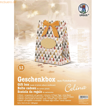 4008525158172 - Geschenkbox Celina 95x125x5cm VE=5 Stück Motiv 53