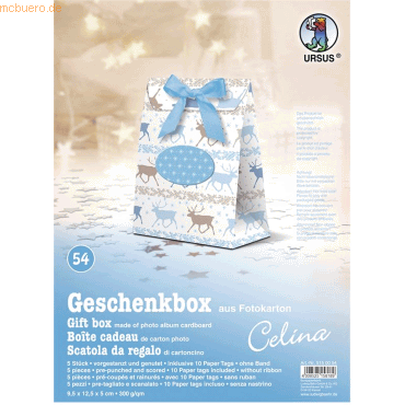 4008525158189 - Geschenkbox Celina 95x125x5cm VE=5 Stück Motiv 54