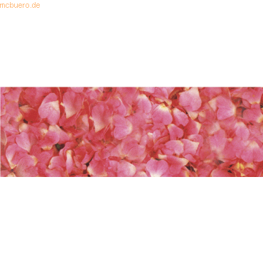 4008525679585 - 10 x Transparentpapier 115g qm 50x61cm Flora Rosenblätter 4008525679585 - 10 x Transparentpapier 115g qm 50x61cm Flora Rosenblätter
