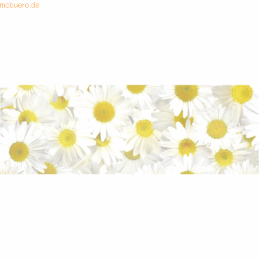 4008525680901 - 10 x Transparentpapier 115g qm 50x61cm Flora Margeriten