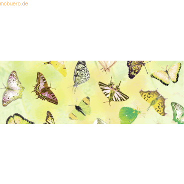 4008525683186 - 10 x Transparentpapier 115g qm 50x61cm Schmetterling