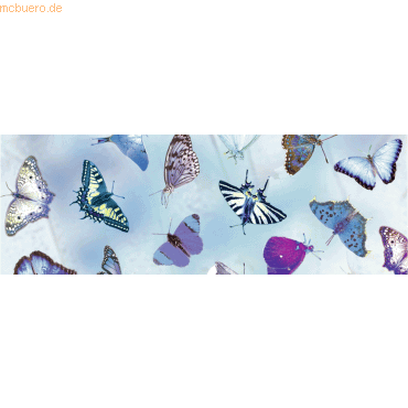4008525683209 - 10 x Transparentpapier 115g qm 50x61cm Schmetterling