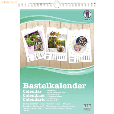 4008525038740 - 5 x Bastelkalender weiß A3