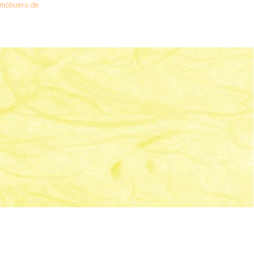 4008525679905 - Digital Strohseide 25g qm A4 VE=10 Blatt vanille