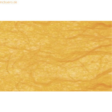 4008525679929 - Digital Strohseide 25g qm A4 VE=10 Blatt goldgelb 4008525679929 - Digital Strohseide 25g qm A4 VE=10 Blatt goldgelb