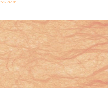 4008525696759 - Digital Strohseide 25g qm A4 VE=10 Blatt apricot