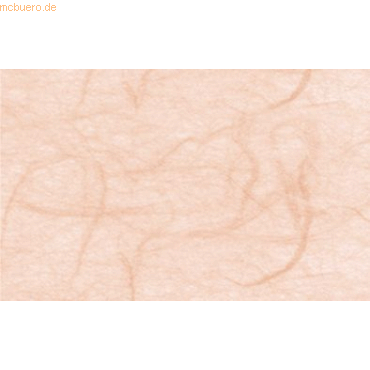 4008525695554 - Digital Strohseide 25g qm A4 VE=10 Blatt lachs 4008525695554 - Digital Strohseide 25g qm A4 VE=10 Blatt lachs