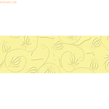 4008525696957 - Prägekarton Elegance 220g qm 23x32cm VE=5 Blatt Nostalgie
