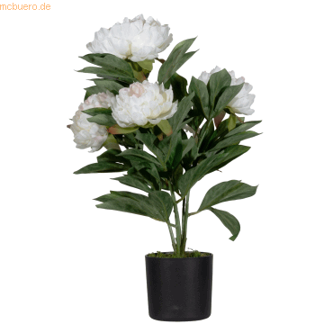 Kunstpflanze PAPIVB55 Pfingstrose ro 55cm