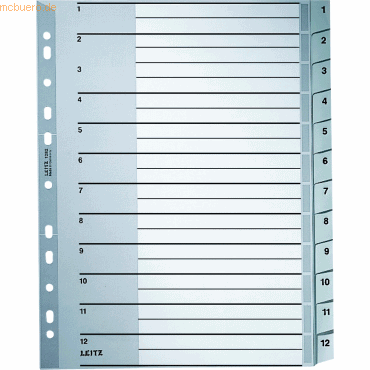 Register A4 1-12 PP grau mit Deckblatt