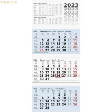 3-Monatskalender Wandkalender 2023 32x75cm 3 Monatsblöcke