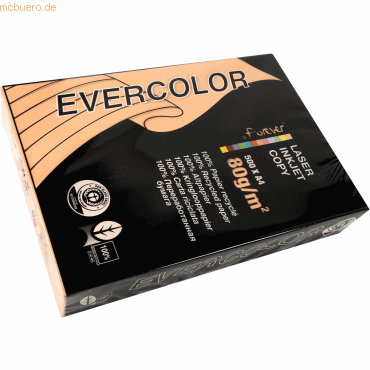 Multifunktionspapier evercolor RC A4 210x297mm 80g/qm lachs VE=500 Blatt