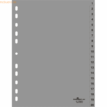 Register A4 1-20 PP grau