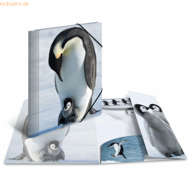 Herma Sammelmappe Glossy Tiere A4 PP Hunde