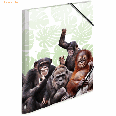 Sammelmappe A3 PP Affenbande