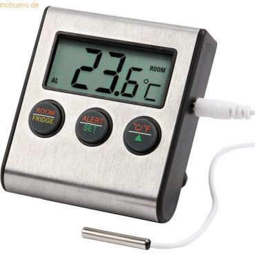 Temperatursensor FTS 200 für Alarmsysteme silber