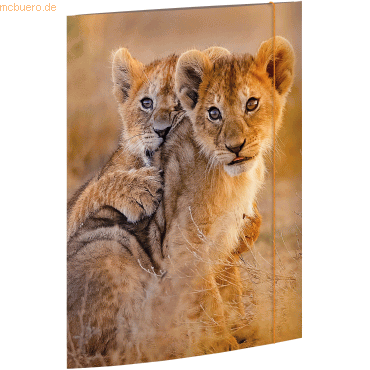 Zeichenmappe A3 -African Lions- Karton 350 g/qm