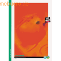 Landre Zeichenblock A2 10 Blatt perfor.