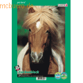 Landre Zeichenblock A4 100g/qm geleimt