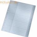 Leitz Register A4 1-20 PP mit Deckblatt