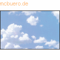 Sigel Visitenk.Design Wolke 3C VE=100