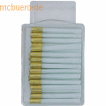 Ecobra Ersatzglaspinsel 760320