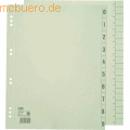 Elba Trennbltter 06453 chamois VE=100