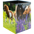 HERMA - Papierkorb Karton Pferdewiese