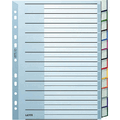 Leitz - Register A4 12-teilig PP blanko grau