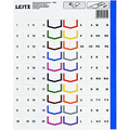Leitz - Register A4 20-teilig PP blanko grau