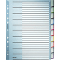 Leitz - Register A4 10-teilig PP blanko grau