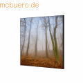 Showdown - Wanddekoration Set 40x40cm Herbstnebel