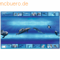 HERMA - Schreibunterlage 55x35cm Delfin