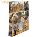HERMA - Ringbuch A4 Karton 4 Ringe Afrika Tiere