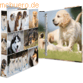 HERMA - Ringbuch A4 Karton 4 Ringe Hunde