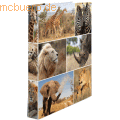 HERMA - Ringbuch A4 Karton 2 Ringe Afrika Tiere