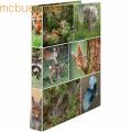 HERMA - Ringbuch A4 Karton 2 Ringe Waldtiere