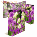 HERMA - Motiv-Ordner A4 7cm Purple Sensation