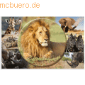 HERMA - Schreibunterlage 55x35cm Afrika Tiere