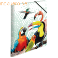 HERMA - Sammelmappe A4 PP Tropenclique