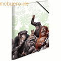 HERMA - Sammelmappe A3 PP Affenbande