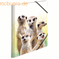 HERMA - Sammelmappe A3 PP Erdmännchentruppe