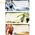 HERMA - Buchetiketten 76x35mm Fußball VE=3 Blatt